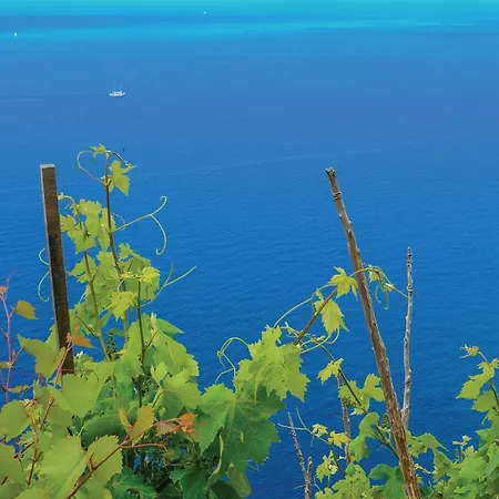 شقة Lovely In Osobljava With Wifi *