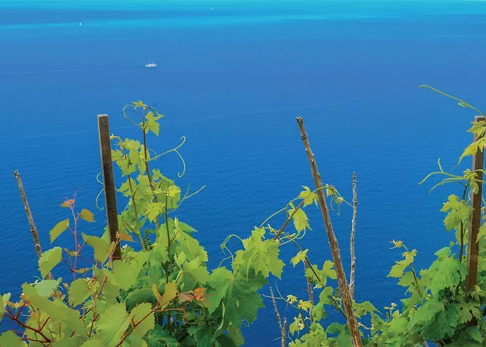 Appartement Lovely In Osobljava With Wifi *